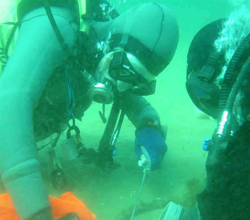 Nicdive.jpg (64195 bytes)